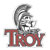 Troy Logo